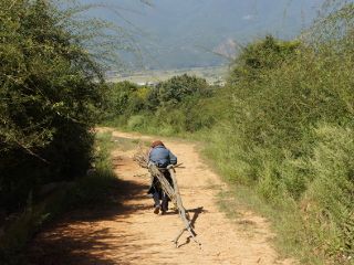 Dans les environs de Shaxi