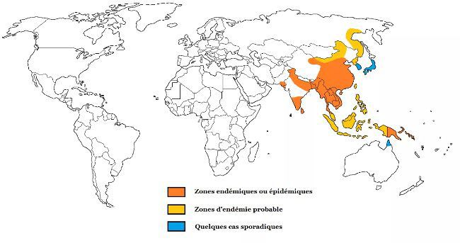 carte du monde pour l'encéphalite japonaise vaccin encéphalite japonaise