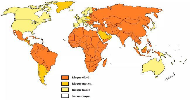 carte du monde pour la rage vaccin rage