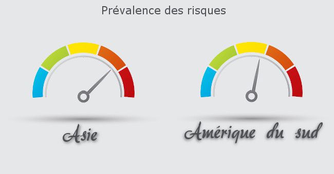 les animaux dangereux en voyage