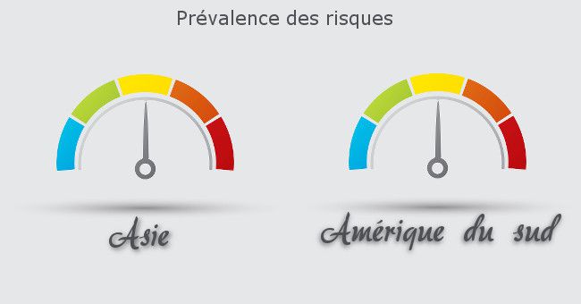 risque de maladie en voyage