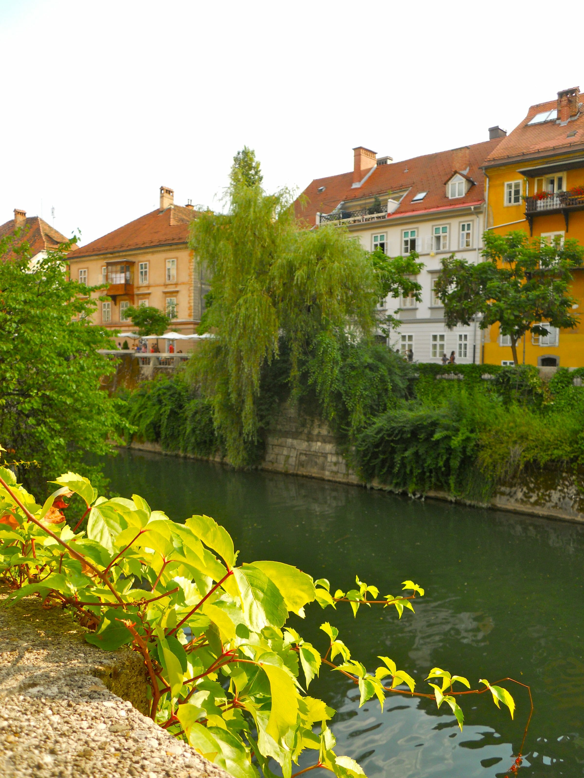 promenade à ljubljana