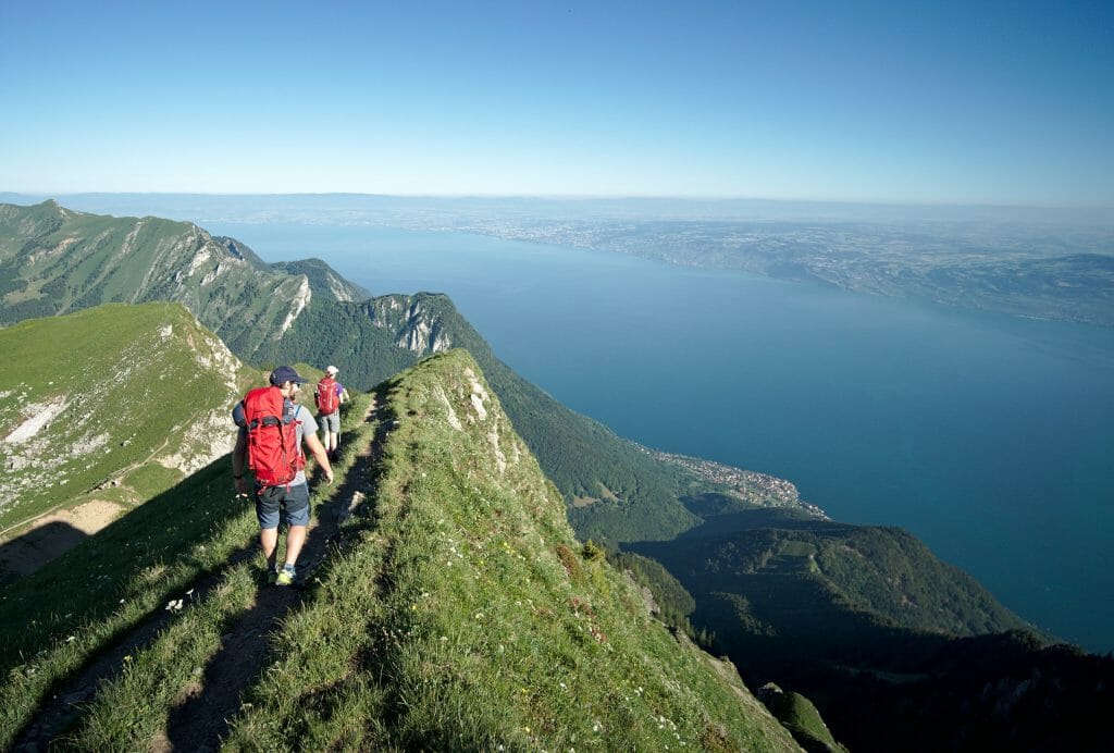 vue sur le Léman depuis l'arrête du Grammont