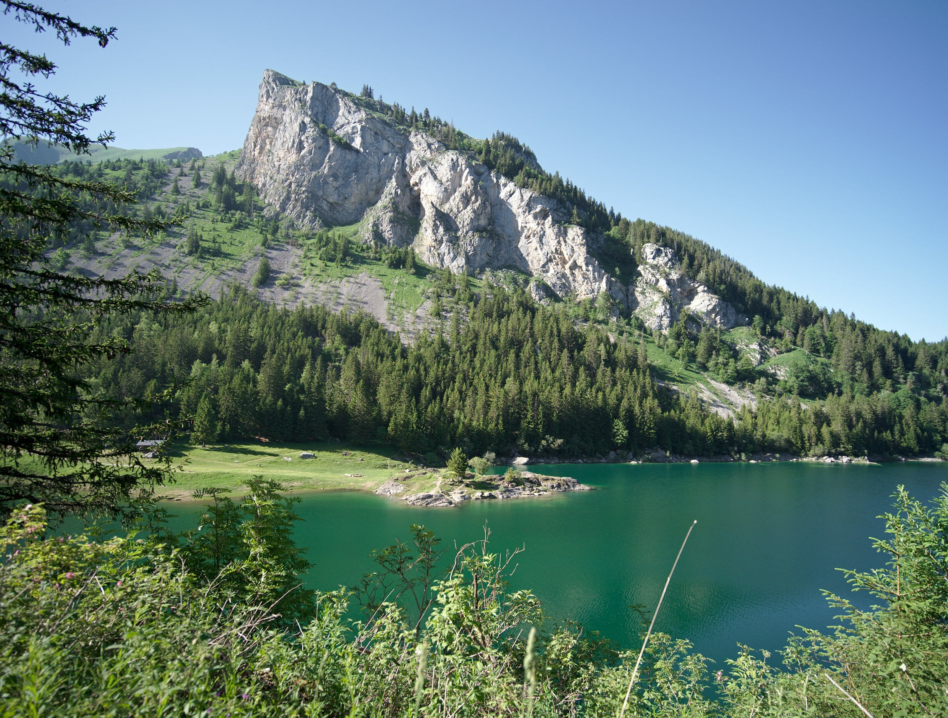 lac de Taney