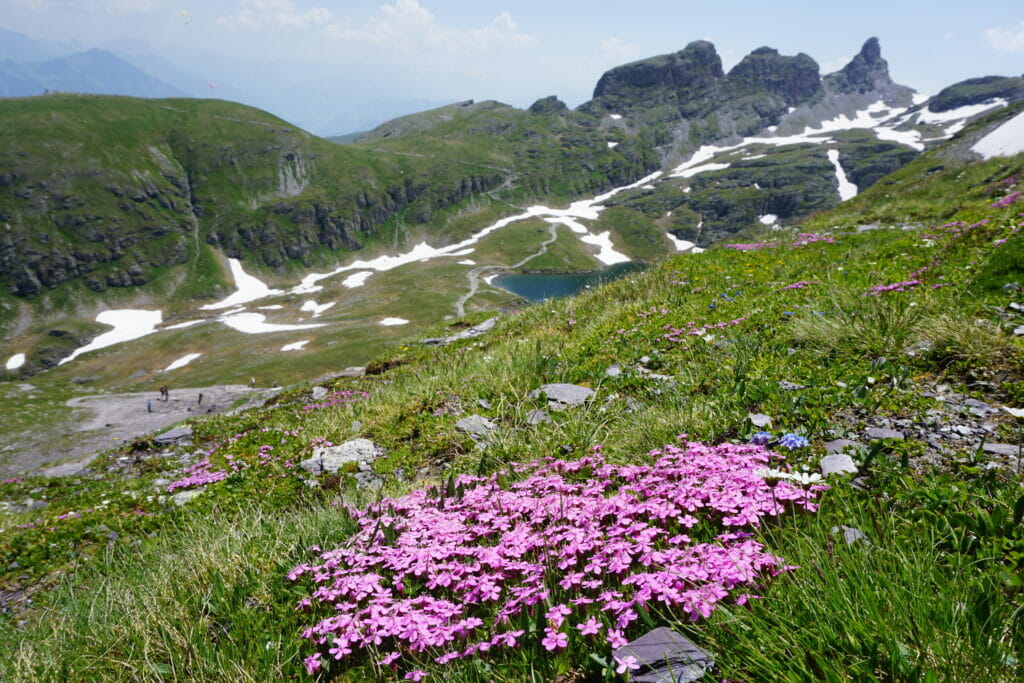 Wangsersee