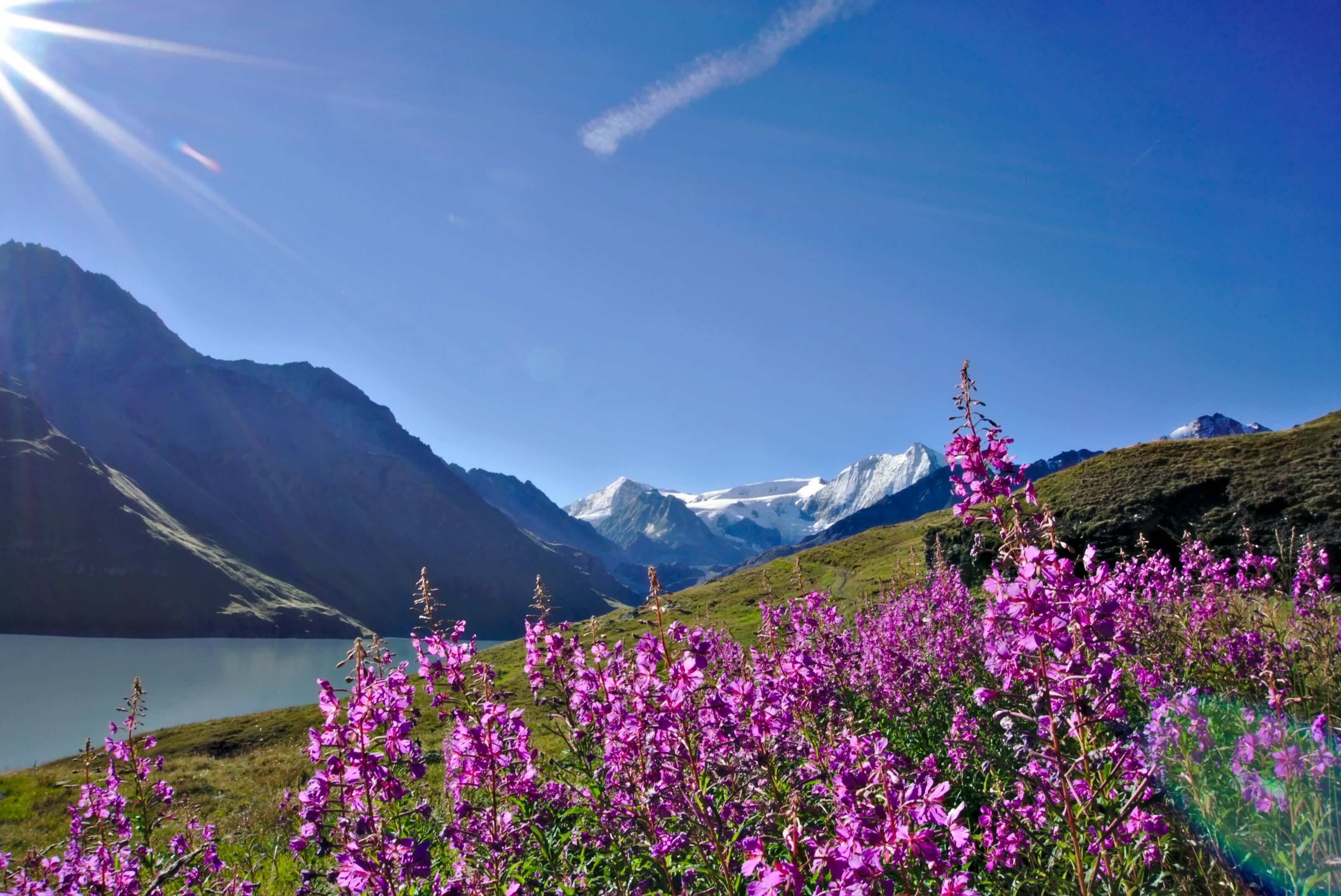 randonnée valais suisse