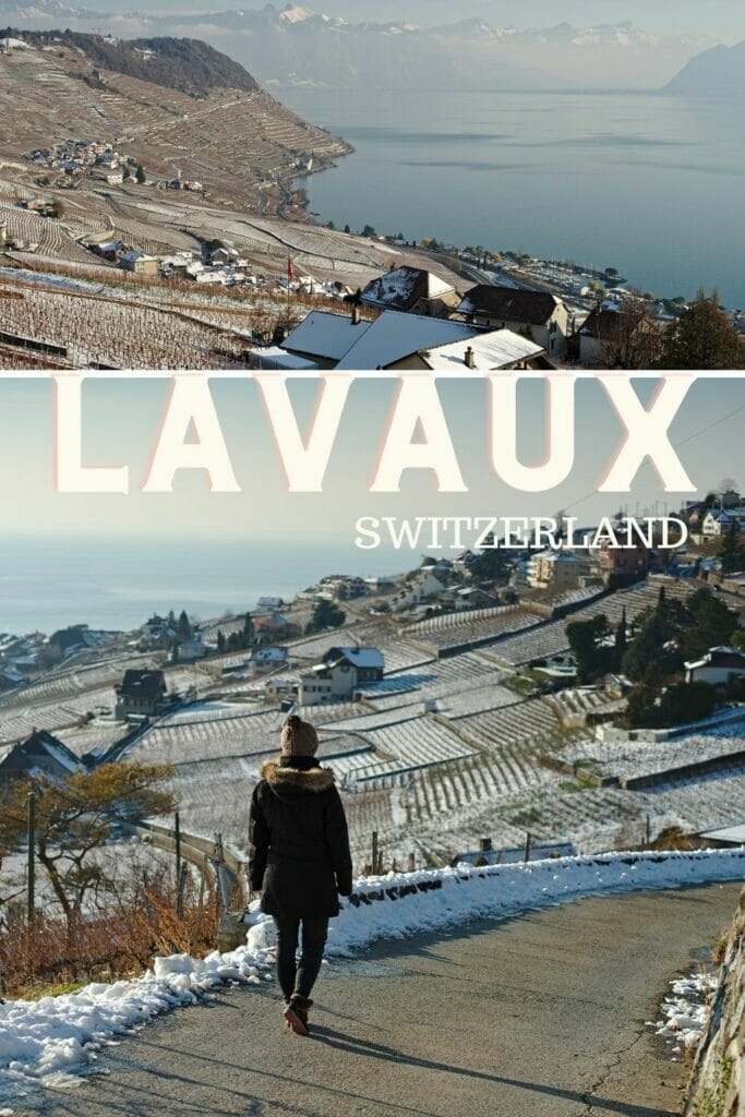 lavaux in winter