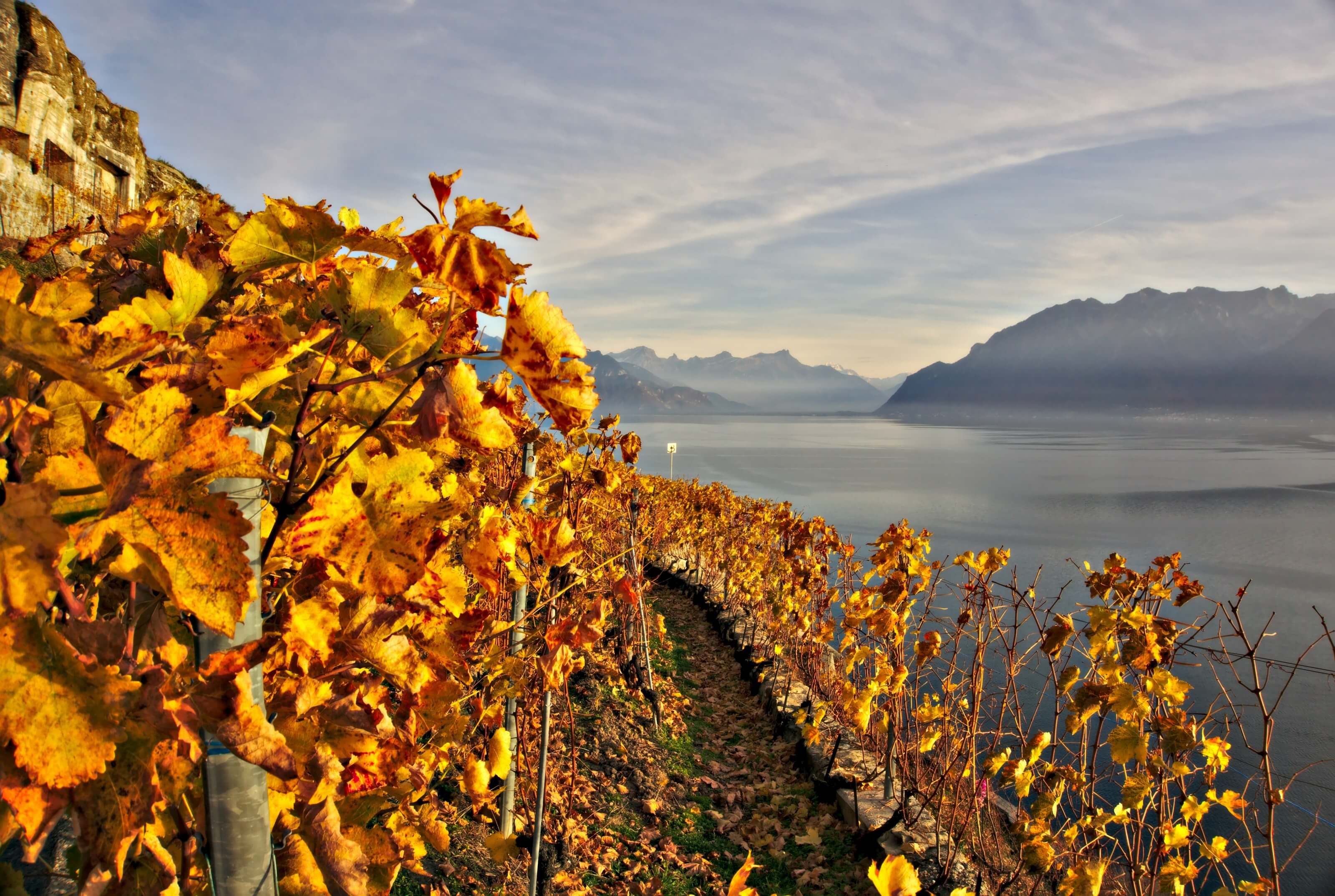 Le Lavaux, Suisse