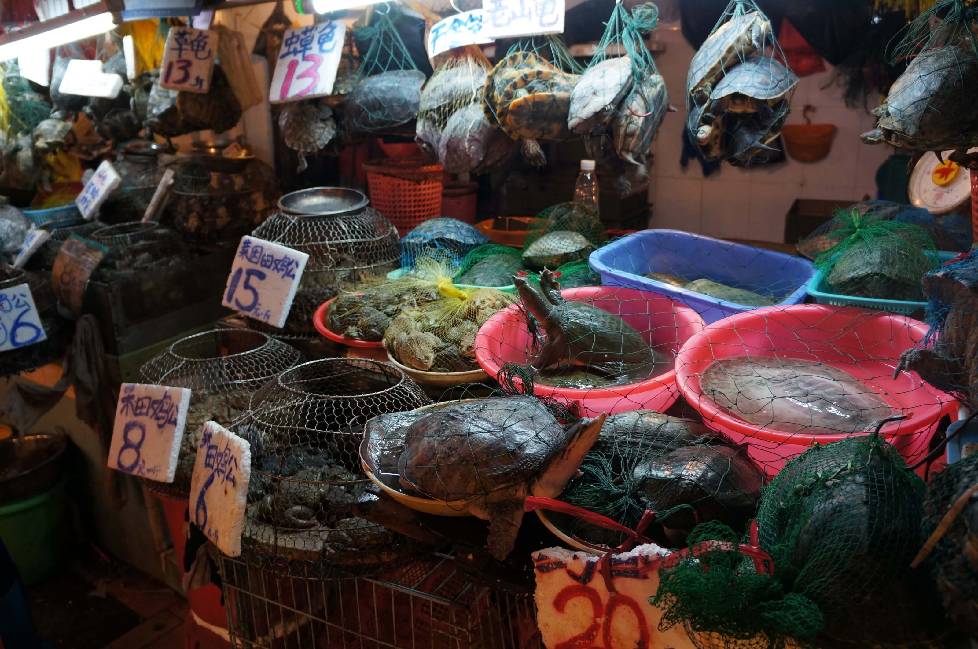 marché chinois