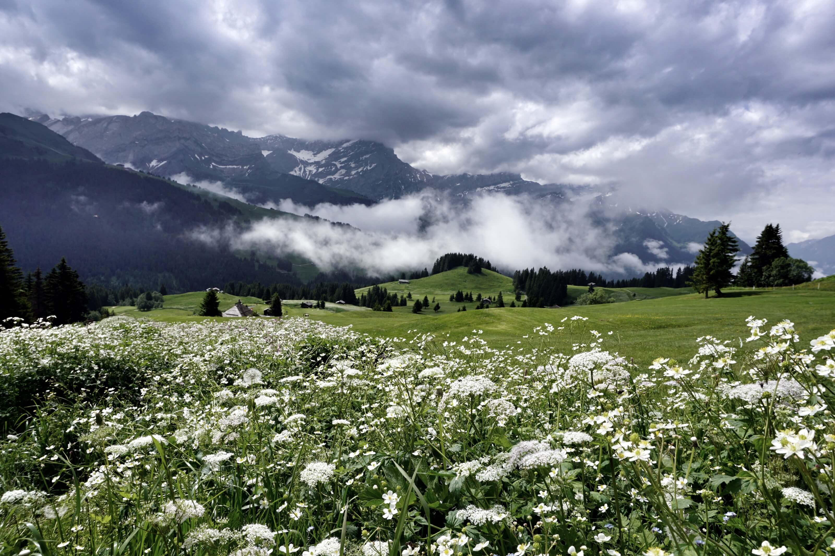 golf de villars