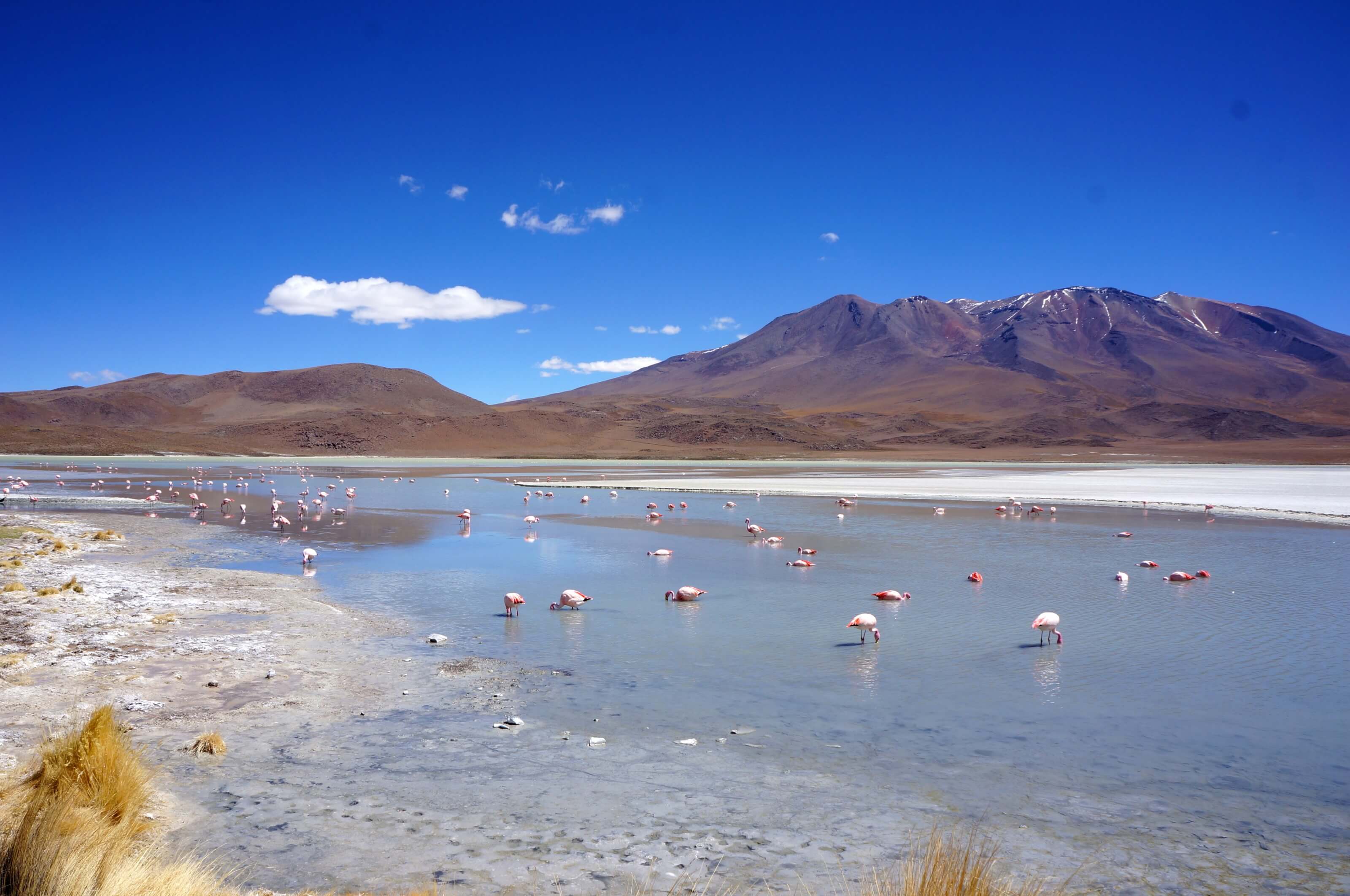 uyuni et sud lipez, Bolivie