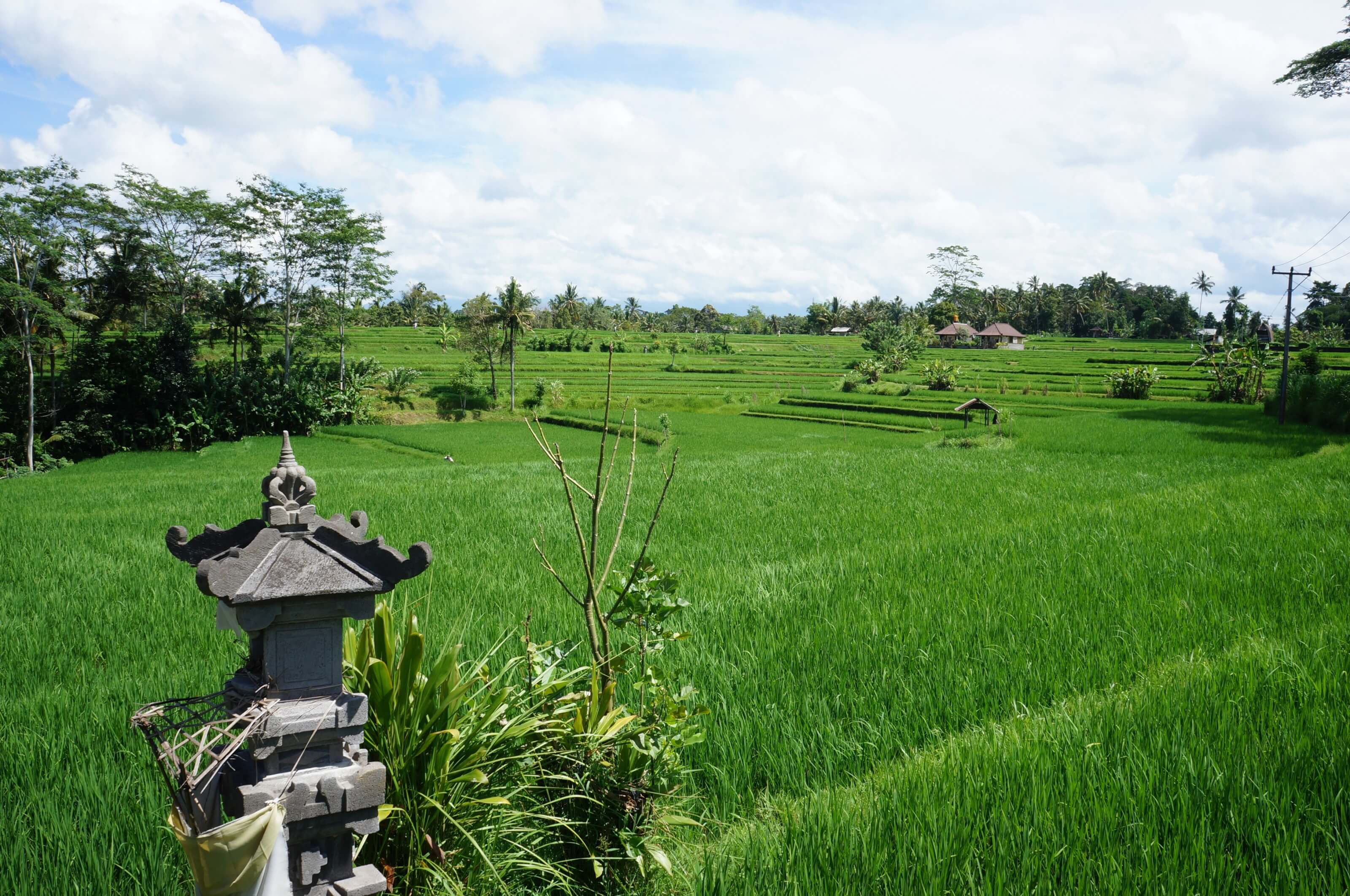 Shopping in Ubud and Around Central Bali