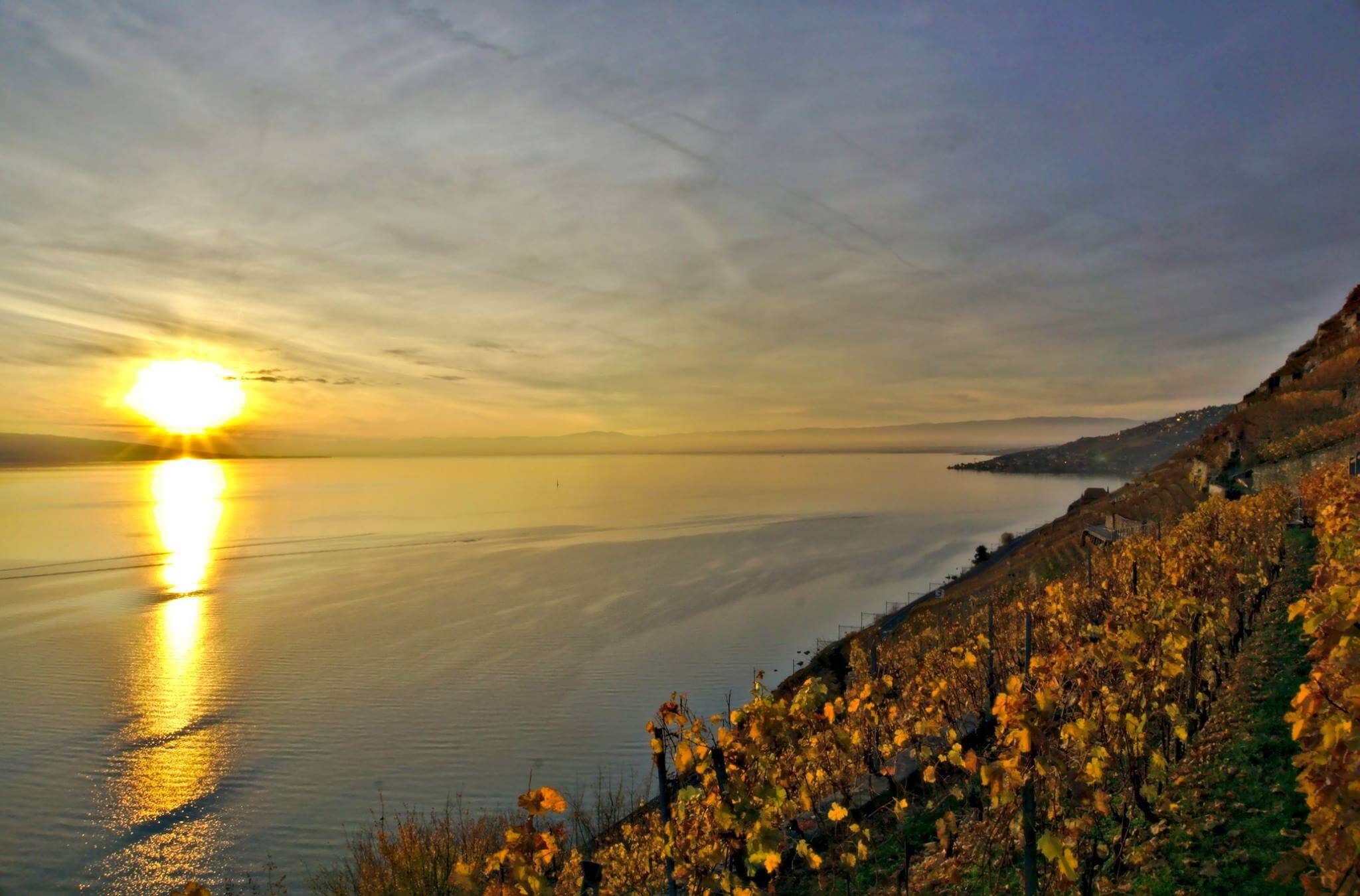 lavau et lac léman