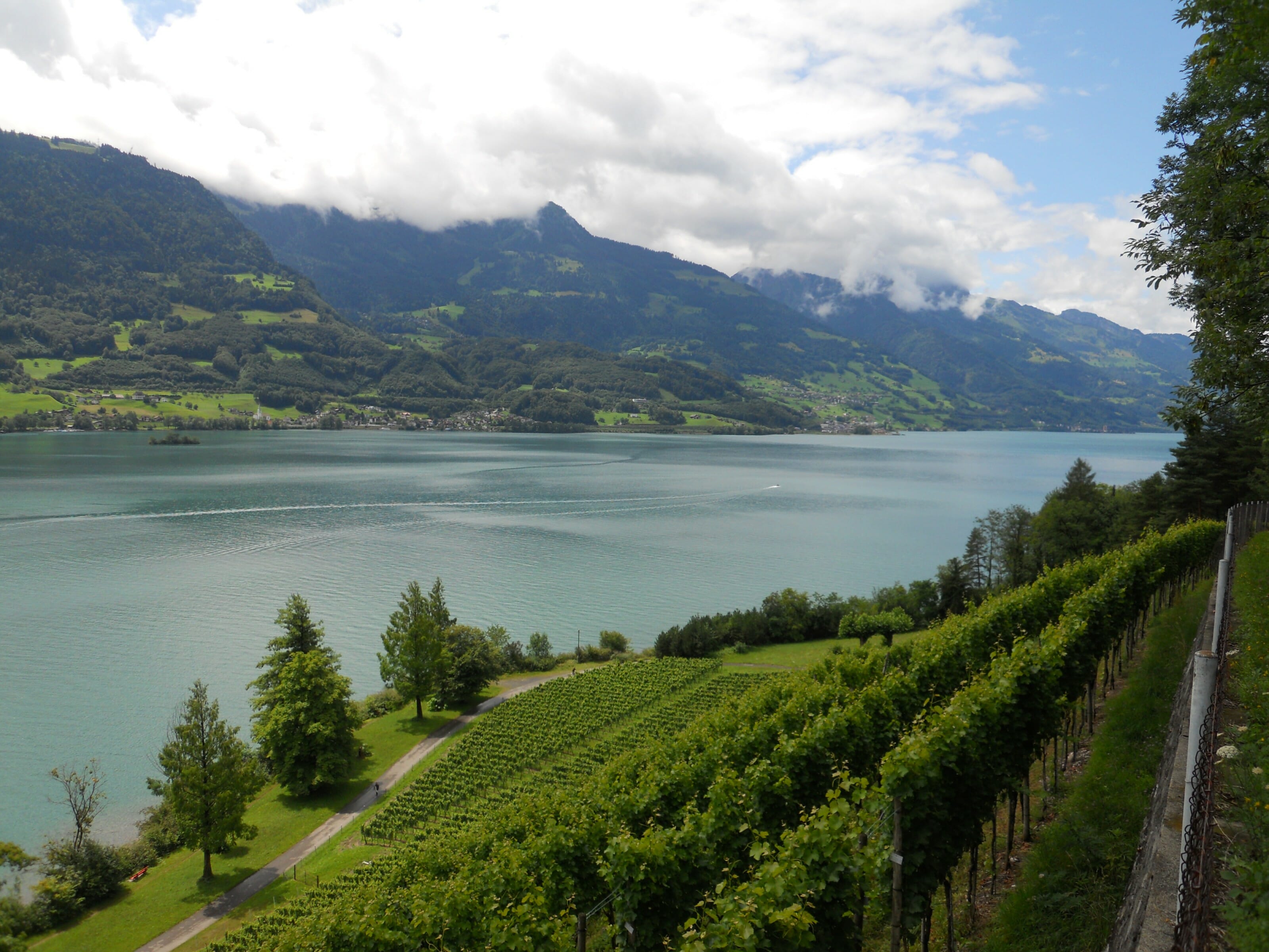 Wallensee dans le canton de st gall en suisse