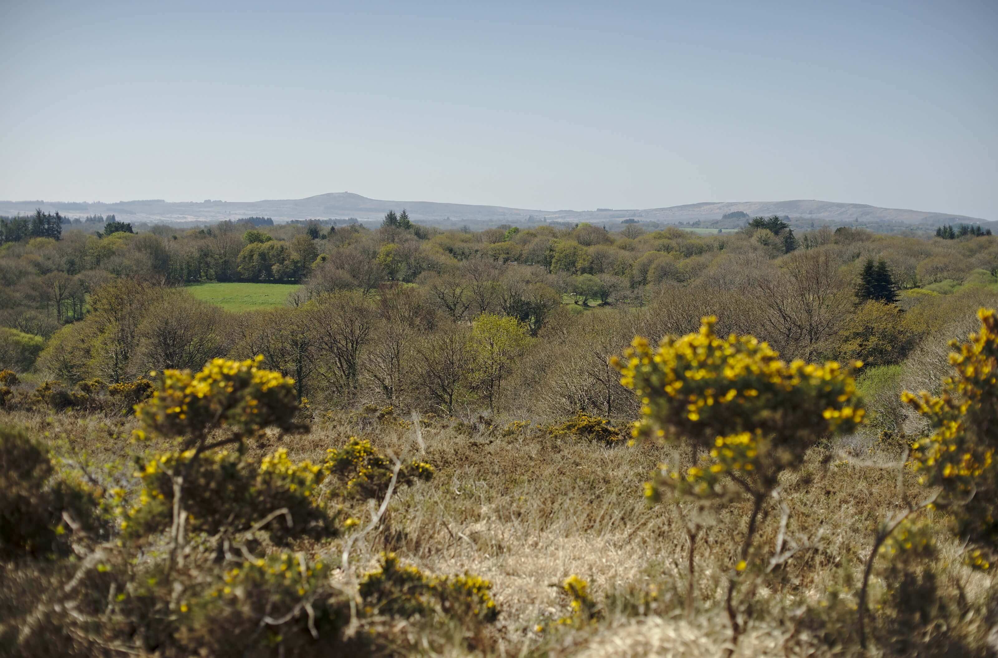 Panorama sur le monts d'Arrée