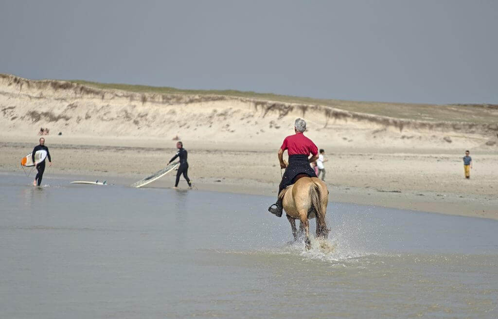 cheval plage de la torche