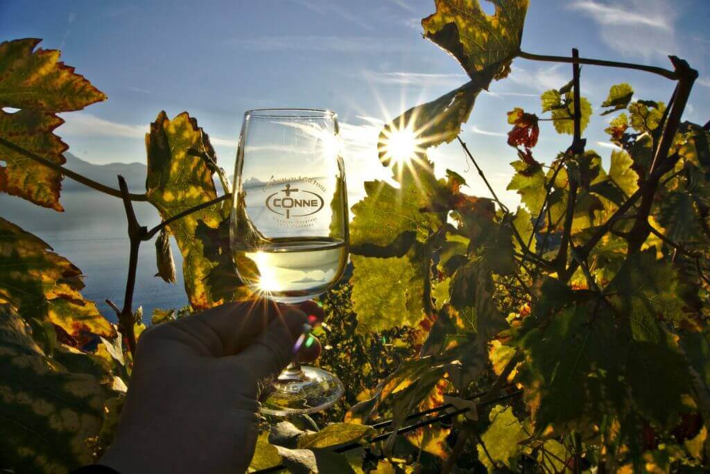 apéro dans le lavaux