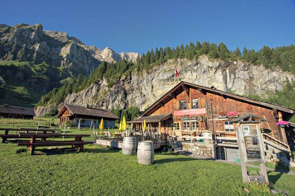 cantine des dents blanches