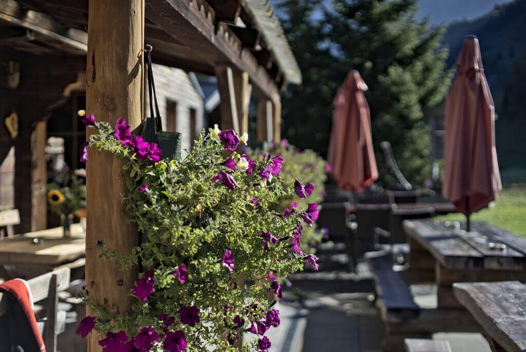 terrasse alpage