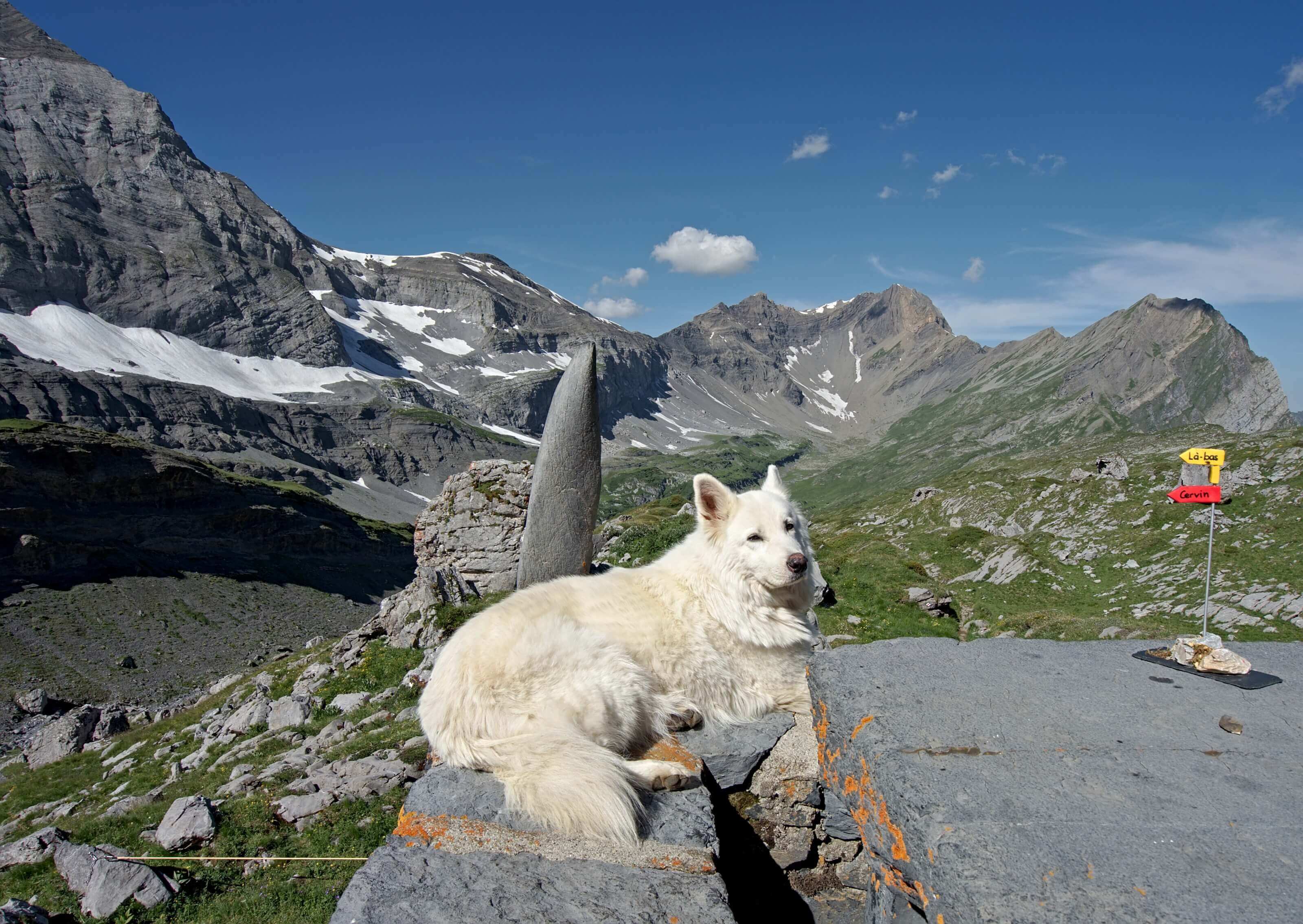 névé cabane de susanfe