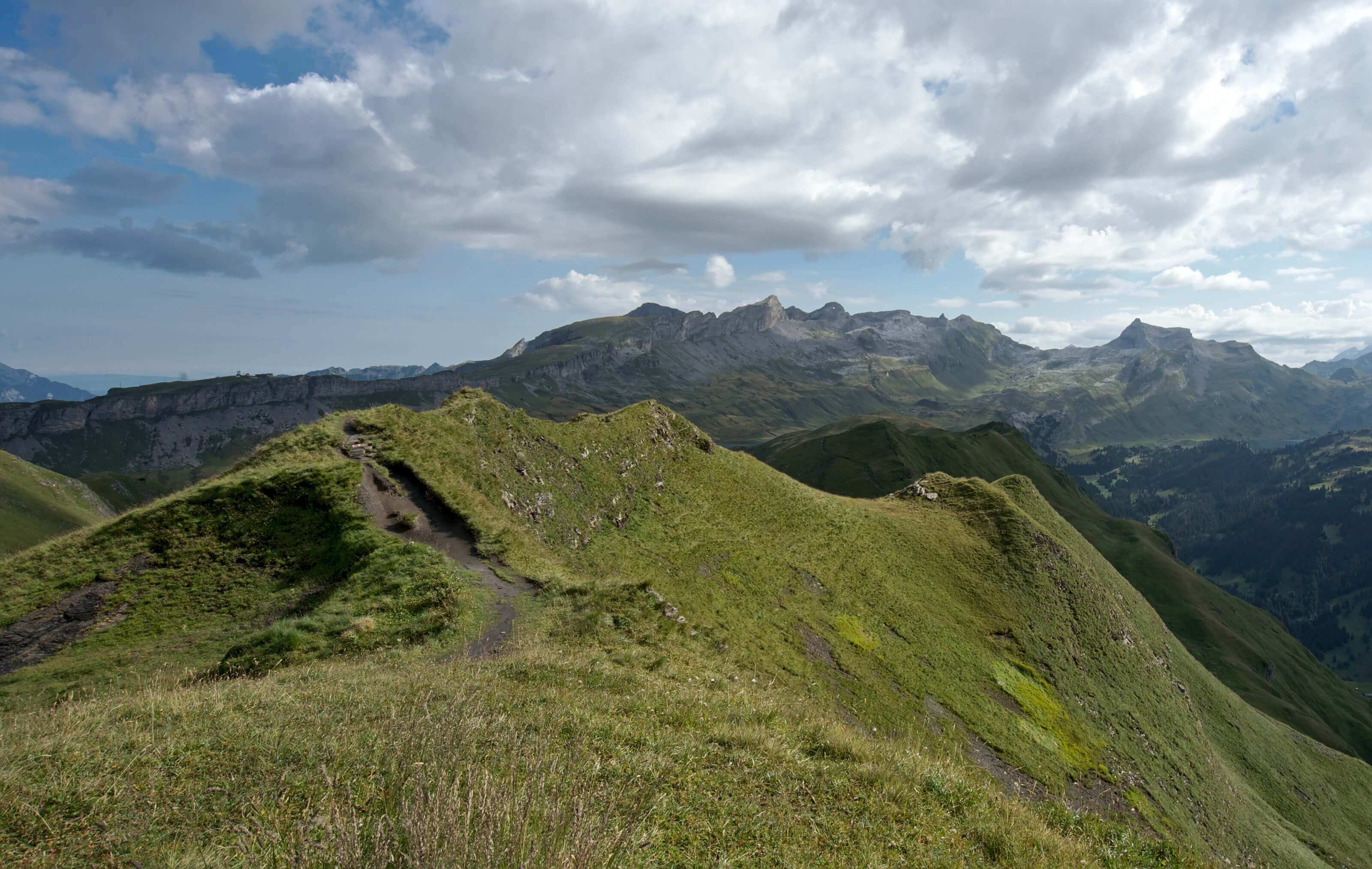 arrête tannensee