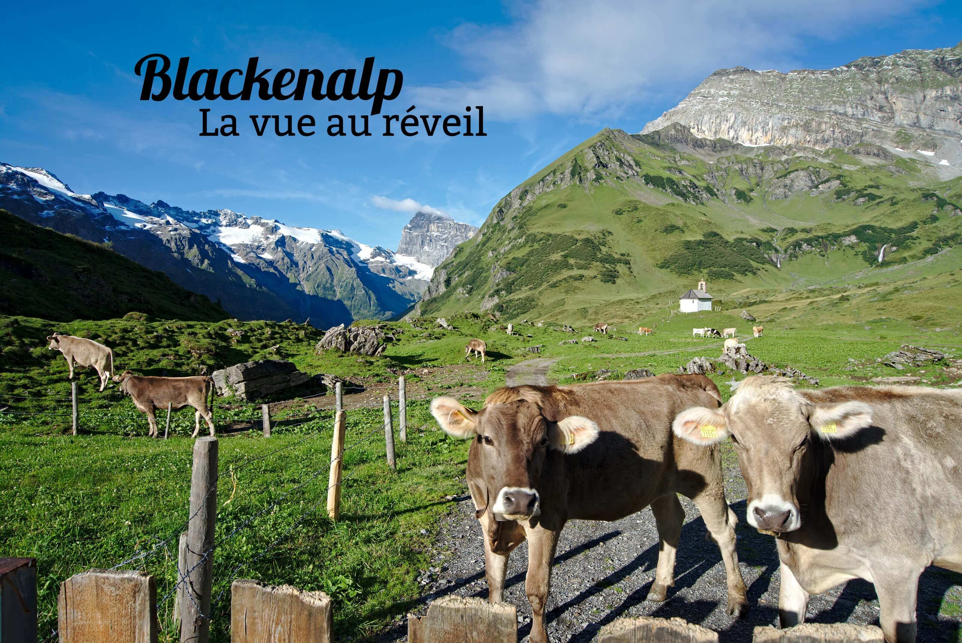 alpage suisse blackenalp