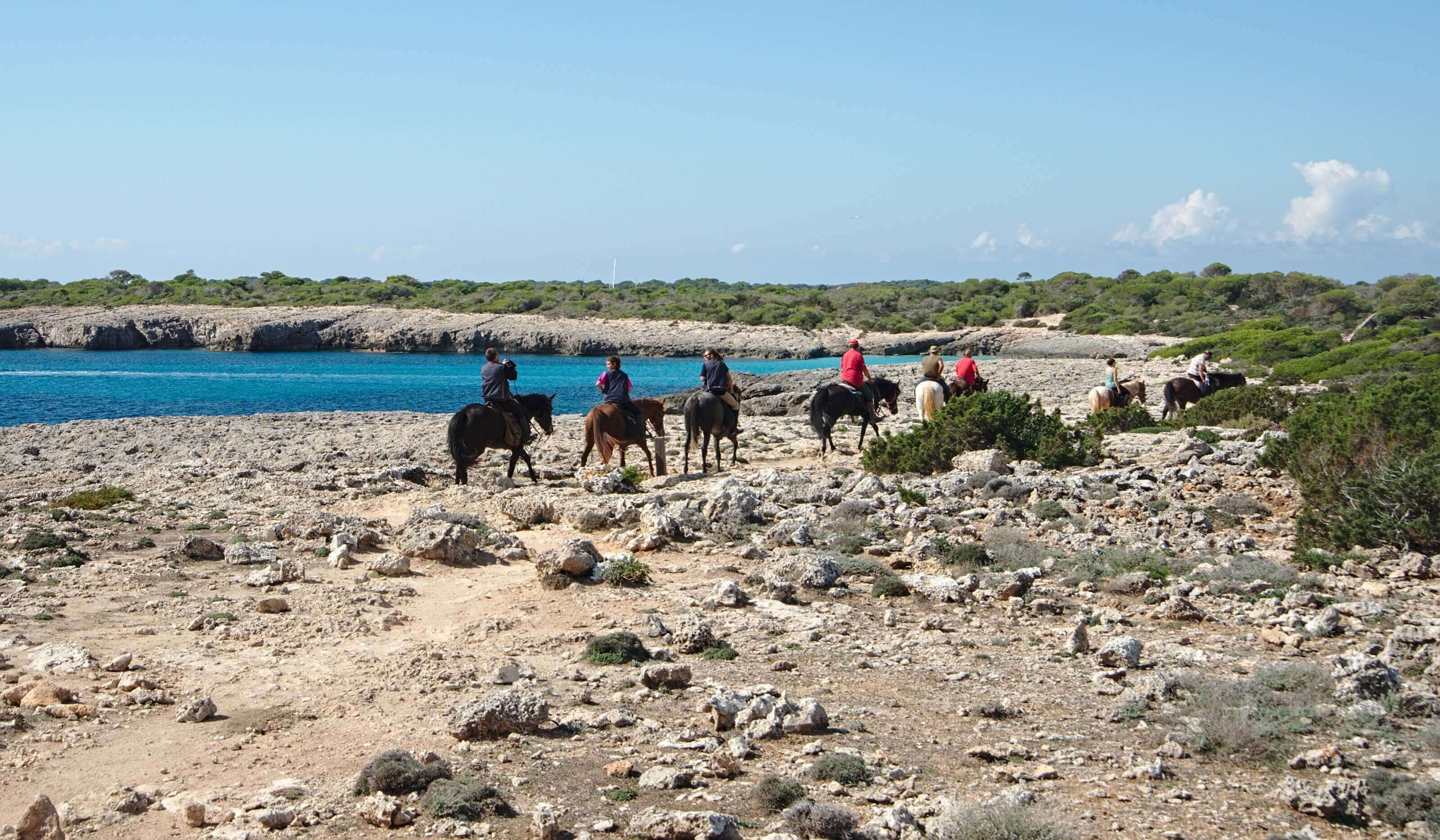 cheval à Minorque