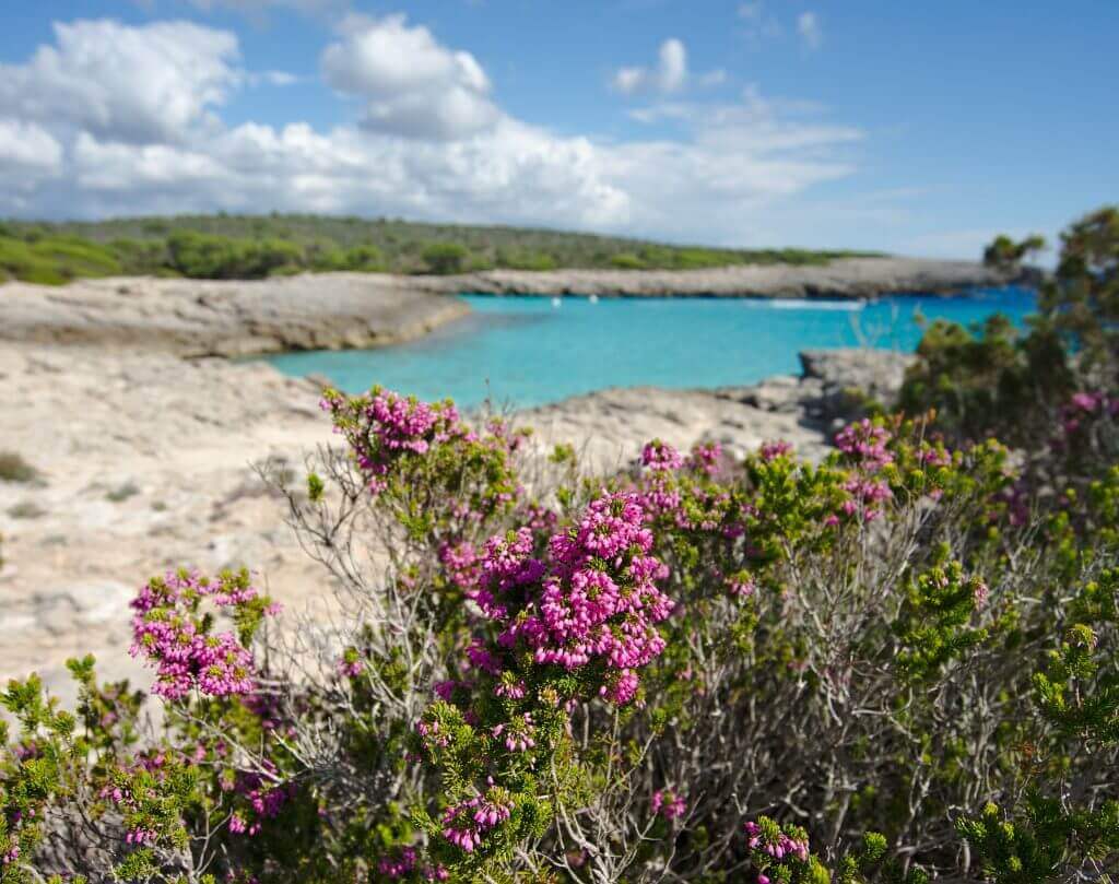 Cala Taialer minorque