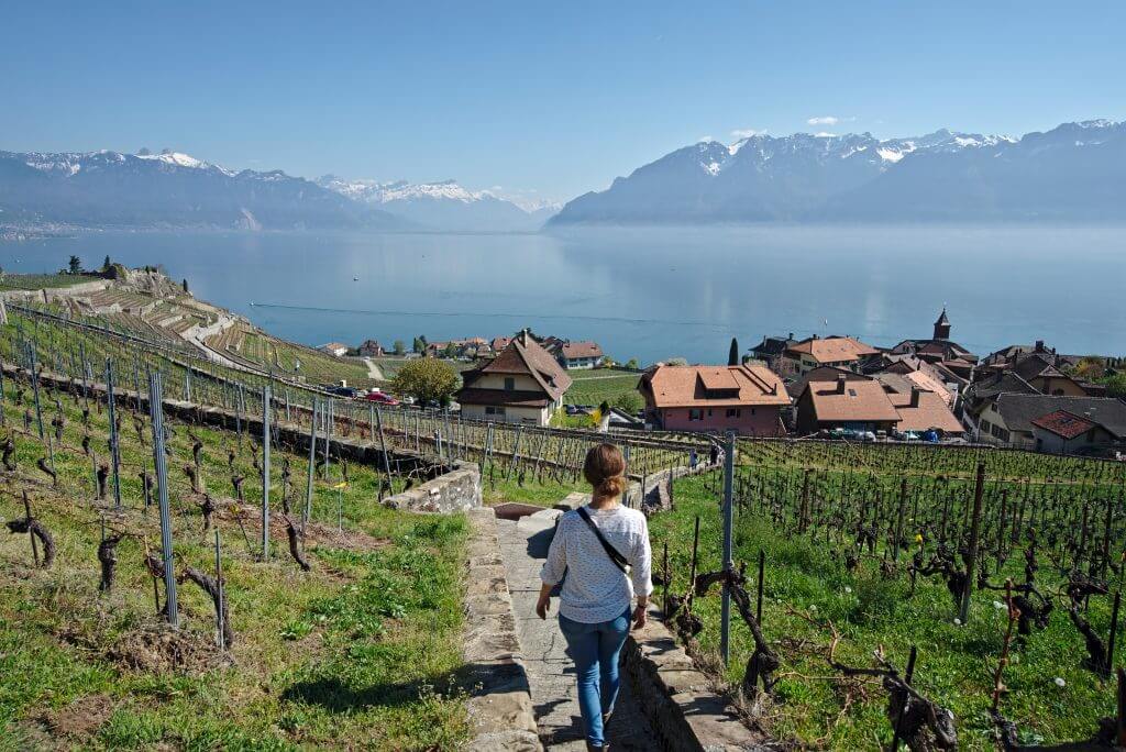 Lavaux vineyards