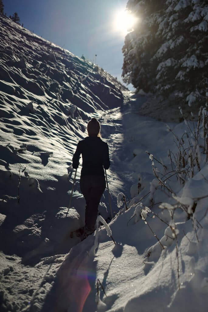 snowshoes morgins