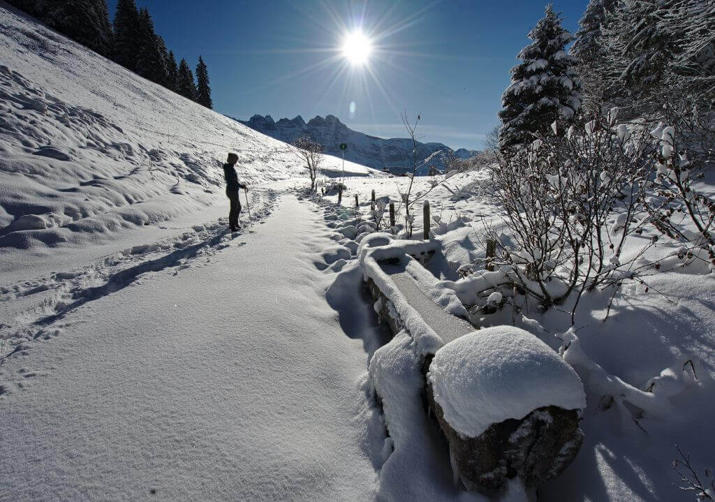 snowshoeing in morgins