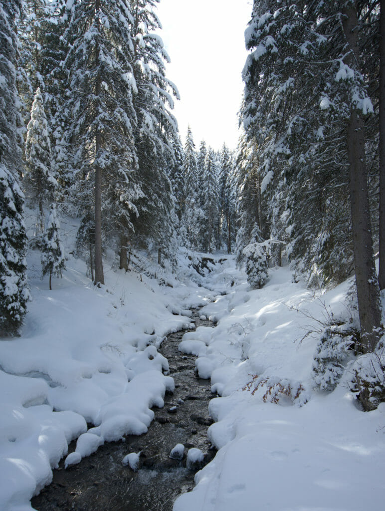 la rivière à traverser