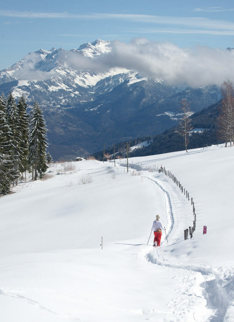 vue sur les alpes vaudoises