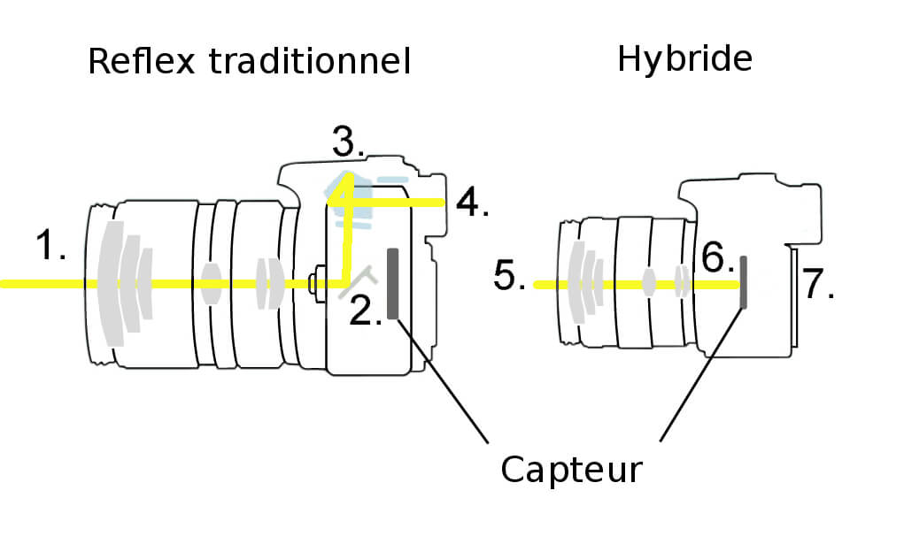 Quelle est la différence entre un reflex et un hybride ?