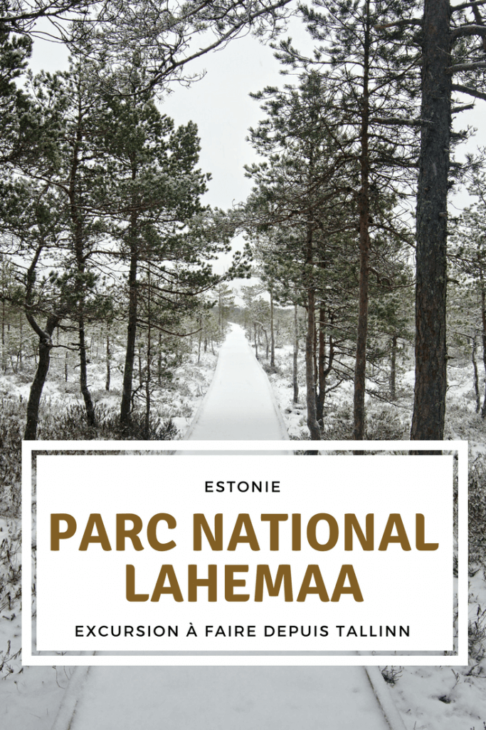 parc de Lahemaa en hiver