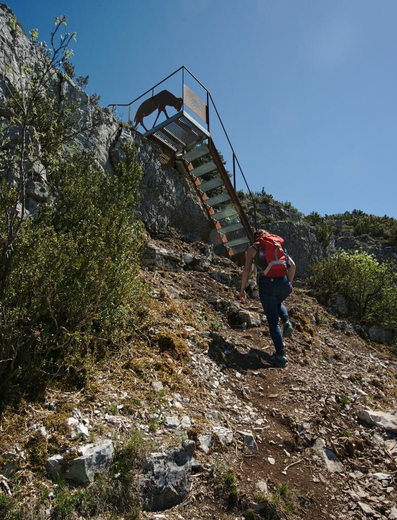 escalier-roquefort