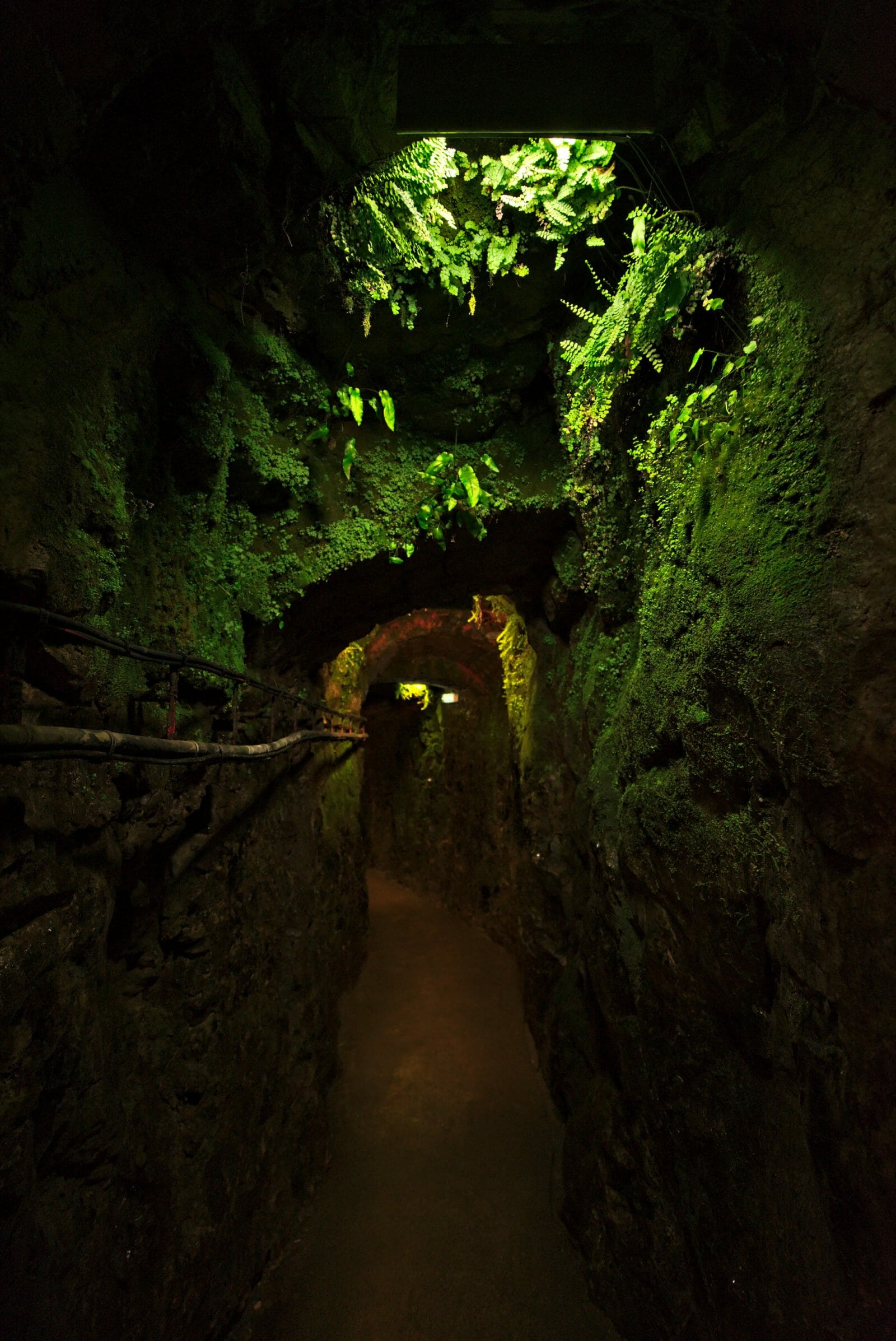 Roquefort en 1 journée visite des caves, randonnée et dégustation