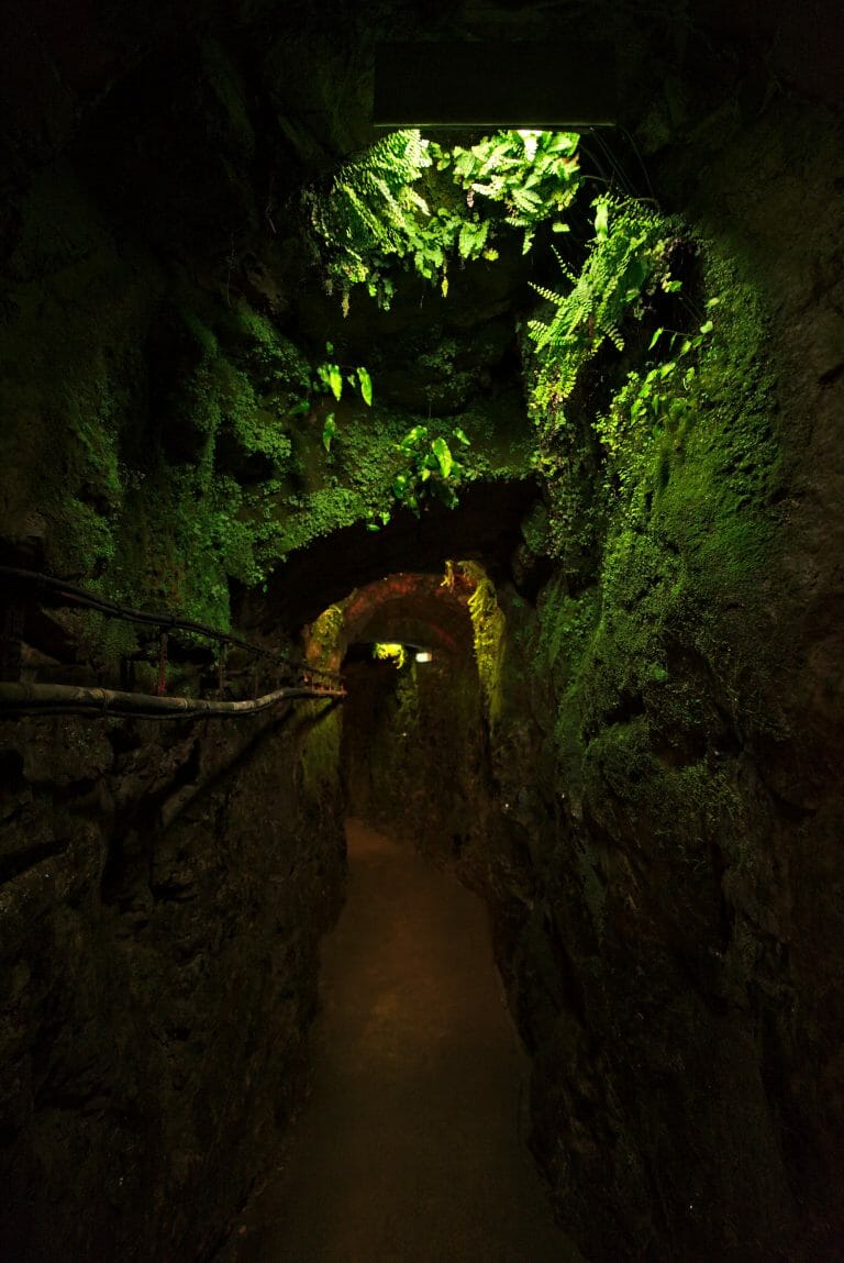 Periode Passee Dans Une Cave Par Un Fromage Roquefort en 1 journée : visite des caves, randonnée et dégustation