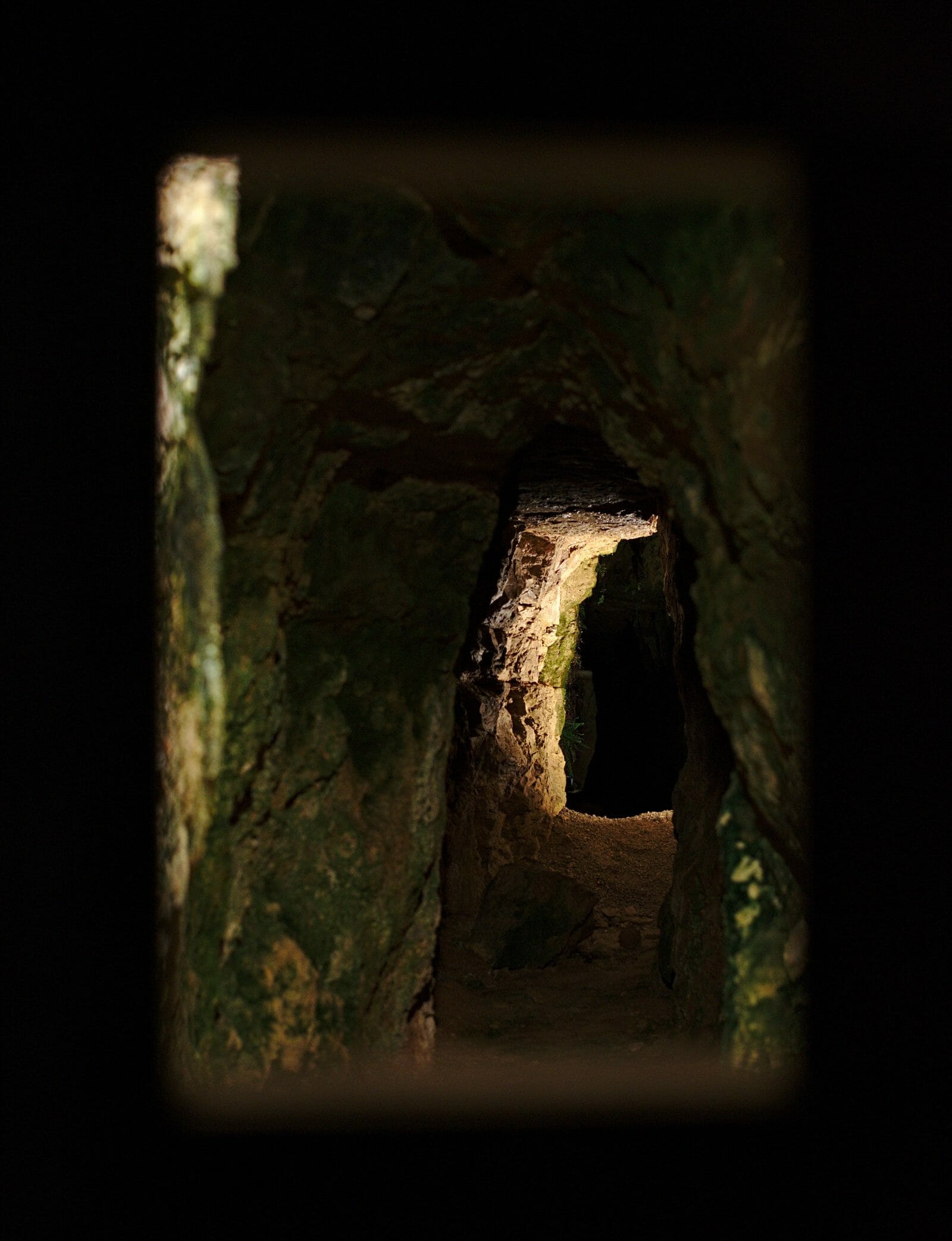 Periode Passee Dans Une Cave Par Un Fromage Roquefort en 1 journée : visite des caves, randonnée et dégustation
