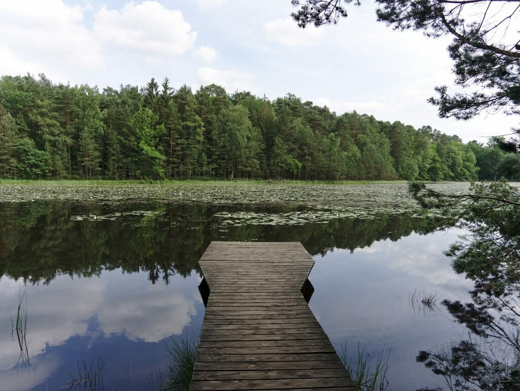 liesbach pond