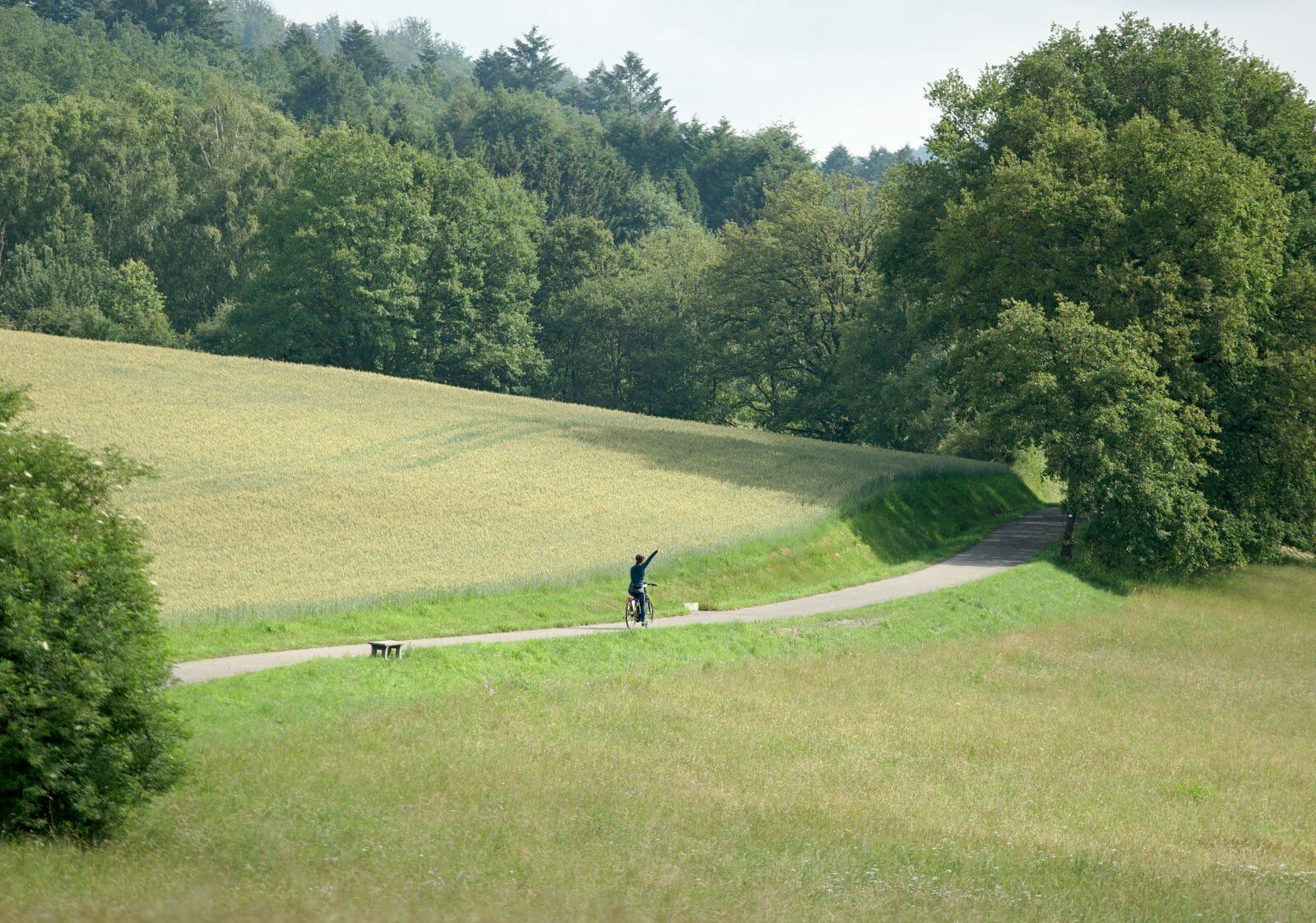 Vosges du nord Pays de Bitche Itinéraire de randonnée et à vélo