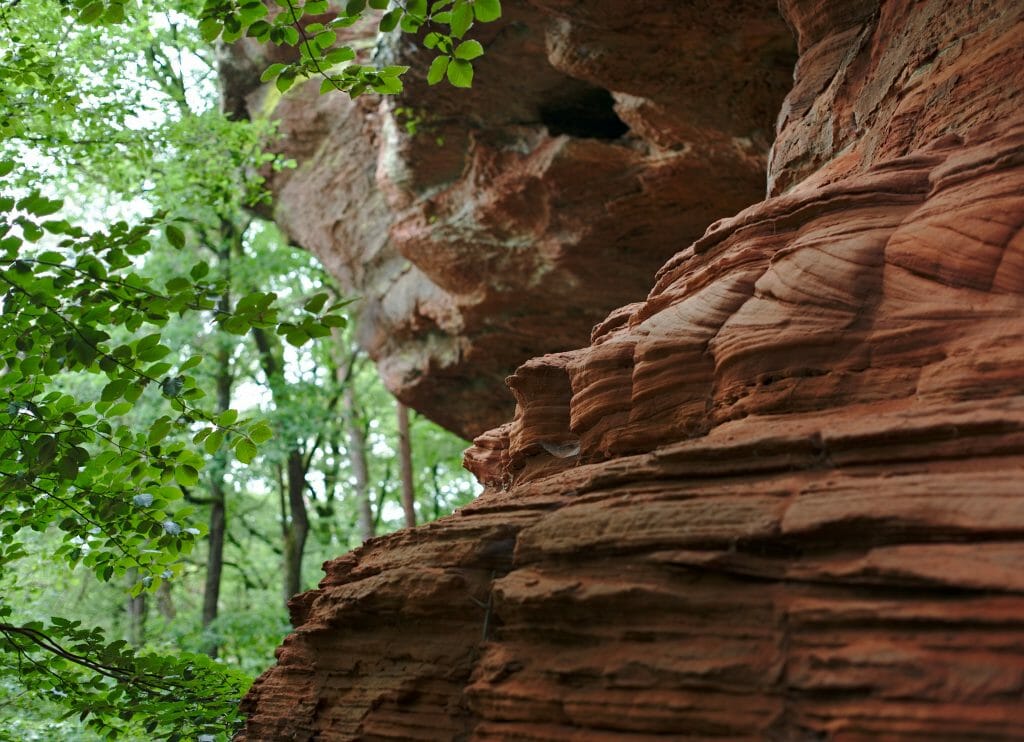 détails dans la roche, altschlossfelsen