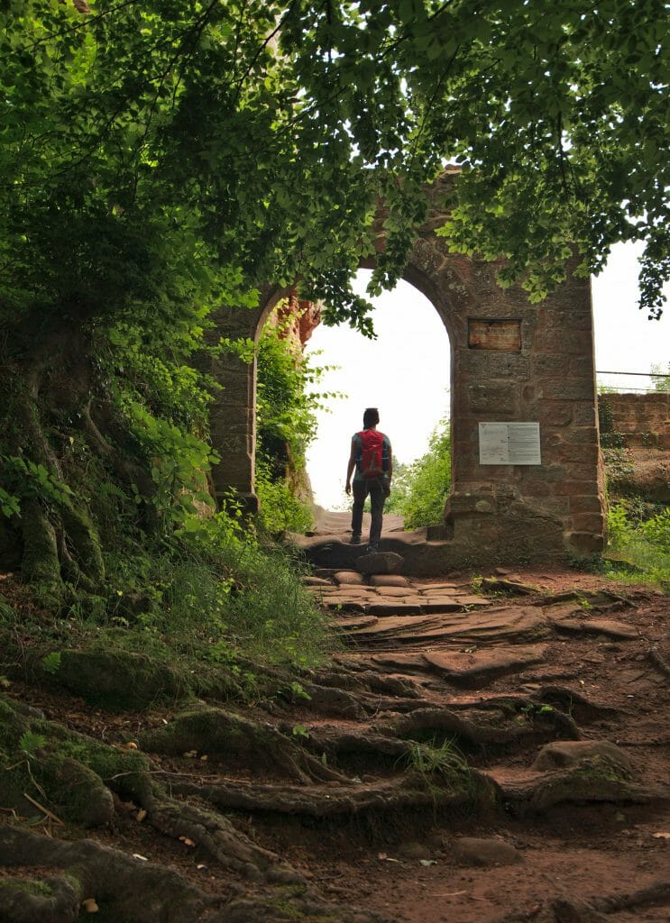 falkenstein, entrée princpale