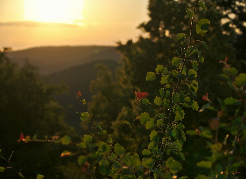 coucher de soleil falkenstein