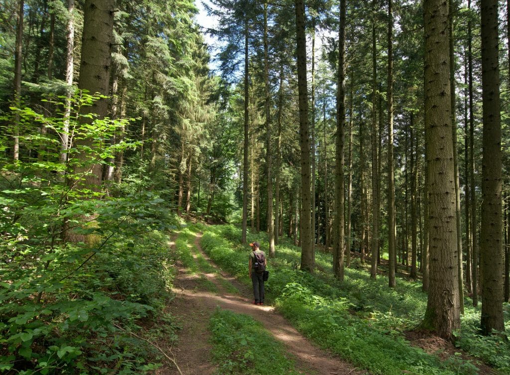 crystal hike, meisenthal