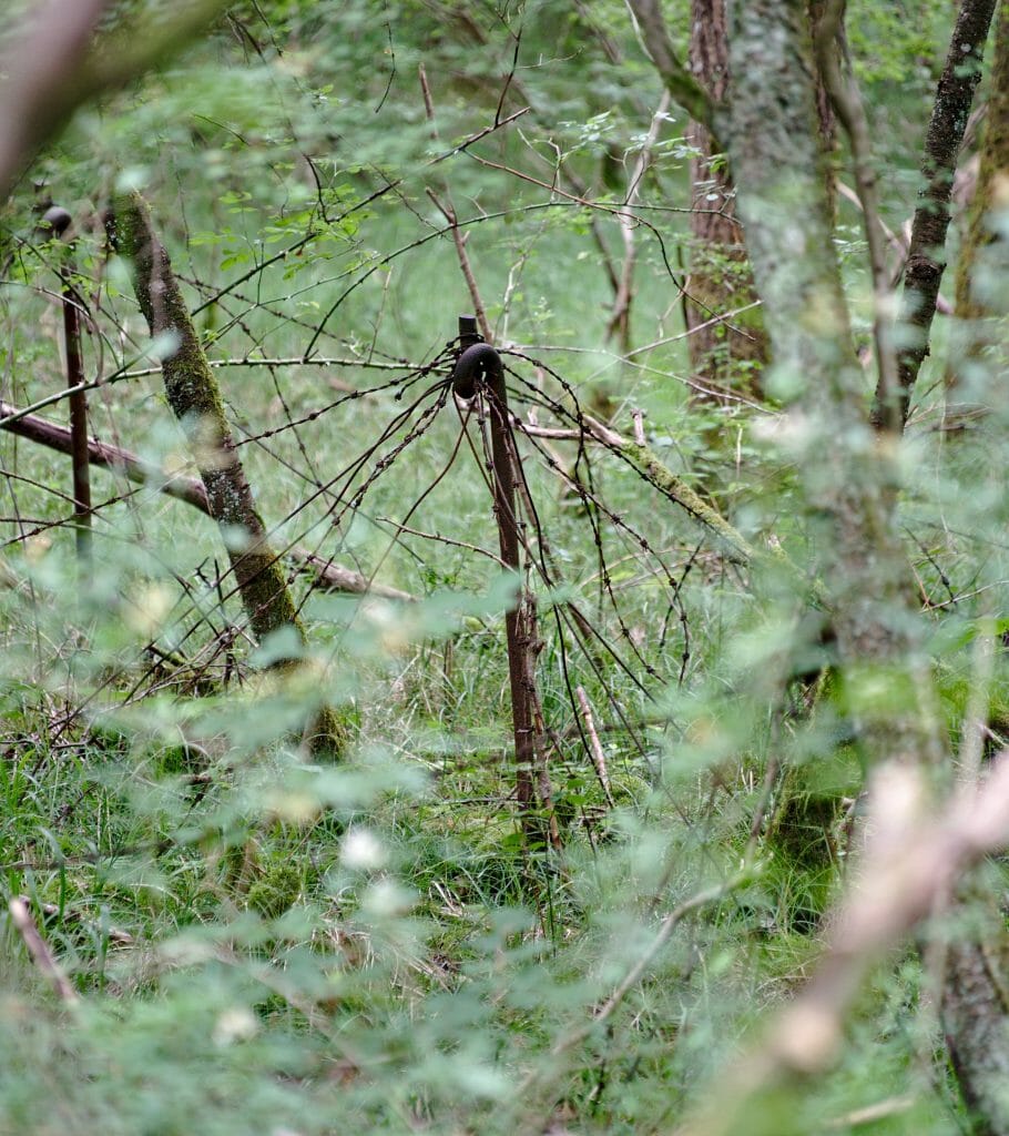 sur la ligne maginot