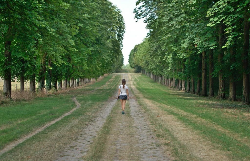 Parc de Versailles