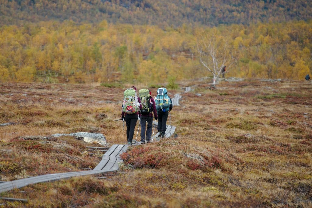 trek du kungsleden, laponie