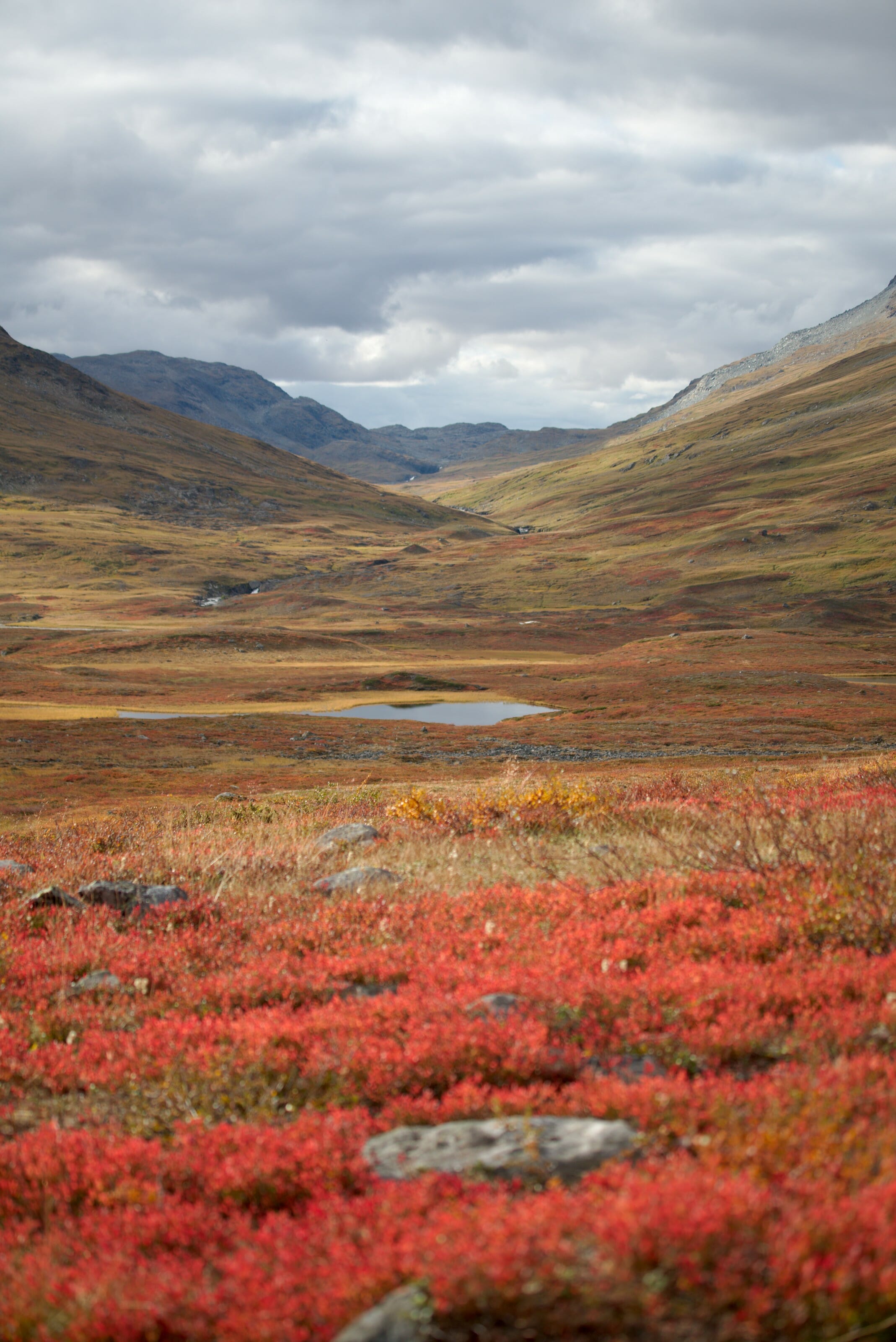 automne-kungsleden