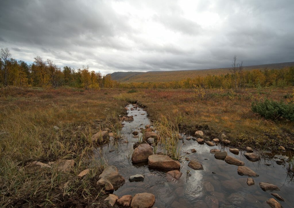 sur le kungsleden